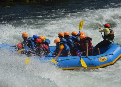 Dandeli (1) (1)