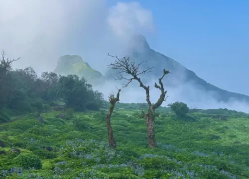 Ratangad (1)